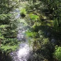 穂高橋・田代橋の写真・動画_image_36603