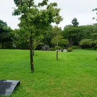 駿府公園の写真・動画_image_36952