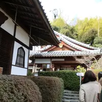 鈴虫寺（華厳寺）の写真・動画_image_3921