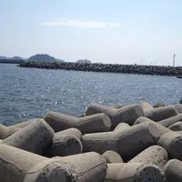 日間賀島の写真・動画_image_41563