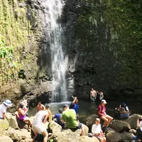 Manoa Fallsの写真・動画_image_42777