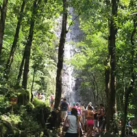 Manoa Fallsの写真・動画_image_42788