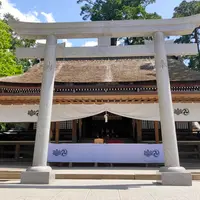 鹿島神宮の写真・動画_image_430193