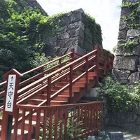 福岡城跡の写真・動画_image_45807
