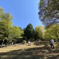太郎川公園の写真・動画_image_474129