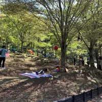 太郎川公園の写真・動画_image_474133