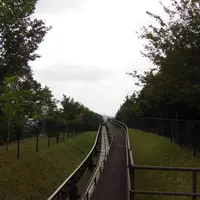森林学習軌道（ミニモノレール）山頂駅の写真・動画_image_475821