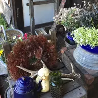 エンガワカフェの写真・動画_image_47849