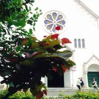サレジオ教会の写真・動画_image_49767
