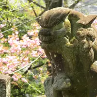 飛騨護國神社の写真・動画_image_5015