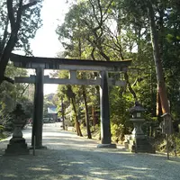 大和神社の写真・動画_image_516342