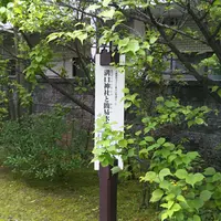 溝口神社の写真・動画_image_526229