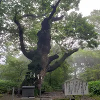 那須温泉神社の写真・動画_image_536526