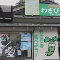 道の駅天城越えの写真・動画_image_538112