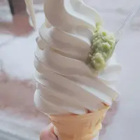 道の駅天城越えの写真・動画_image_538131
