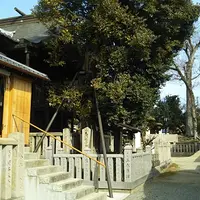 英賀神社の写真・動画_image_559393