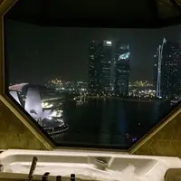 The Ritz-Carlton, Millenia Singaporeの写真・動画_image_56197