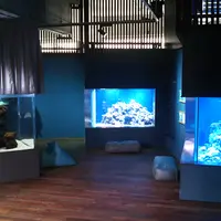 みなとやま水族館の写真・動画_image_572844