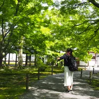 東福寺の写真・動画_image_575373