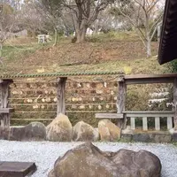 祈願合格神社の写真・動画_image_57724