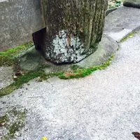 津門神社の写真・動画_image_58168