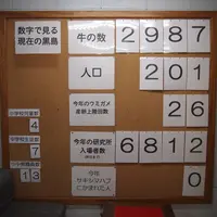 黒島研究所の写真・動画_image_5823