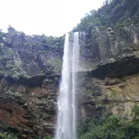 ピナイサーラの滝の写真・動画_image_5837
