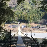 塩郷の吊り橋の写真・動画_image_58488