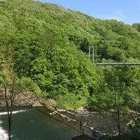 やまびこ吊り橋の写真・動画_image_58846