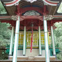 春日神社の杉の写真・動画_image_58931