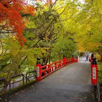 今熊野観音寺の写真・動画_image_58973