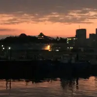 東港の写真・動画_image_62605