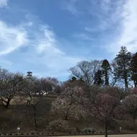 あけぼの山公園の写真・動画_image_62989