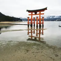 厳島神社の写真・動画_image_64576