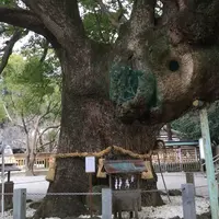 大麻比古神社の写真・動画_image_65463