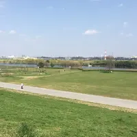 矢切の渡しの写真・動画_image_68196