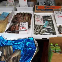 鎌倉市農協連即売所の写真・動画_image_68599