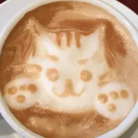 CAFE ATIKの写真・動画_image_68707