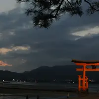 厳島神社の写真・動画_image_6912
