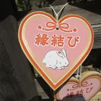 白兎神社の写真・動画_image_694655
