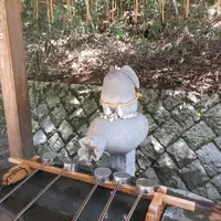 白兎神社の写真・動画_image_694657