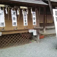 川越熊野神社の写真・動画_image_69691
