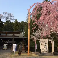 蒲生神社の写真・動画_image_71033