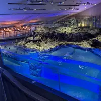 すみだ水族館の写真・動画_image_714212