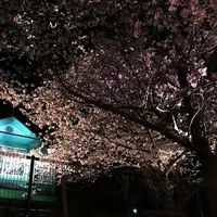 神戸市立王子動物園の写真・動画_image_71623