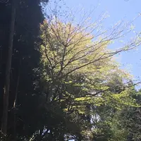 高森阿蘇神社の写真・動画_image_72224