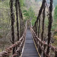 奥祖谷二重かずら橋の写真・動画_image_72956