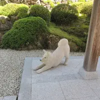 法楽寺（播州犬寺）の写真・動画_image_729920