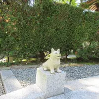 法楽寺（播州犬寺）の写真・動画_image_729921