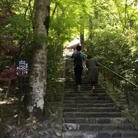 鈴虫寺（華厳寺）の写真・動画_image_73505